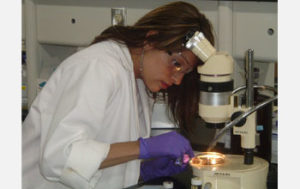 Laboratorní asistent provádějící výzkum