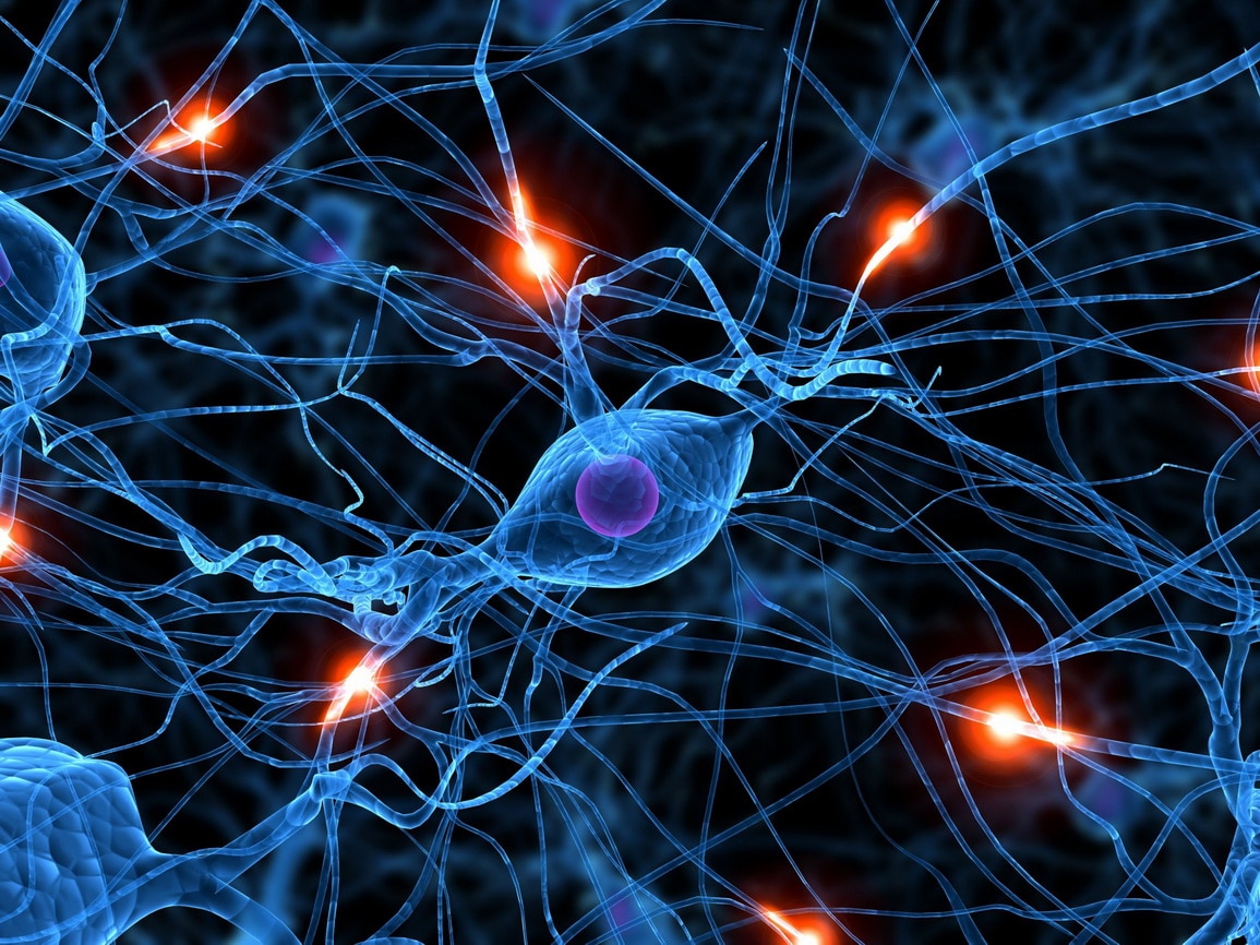 Agenese van het corpus callosum: wat is het, symptomen, behandeling, prognose