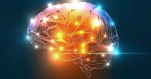 Serotoninniveauer