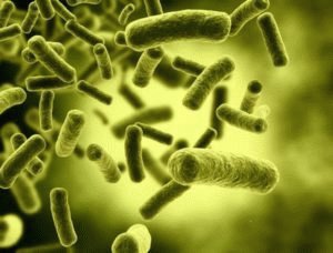Préparations pour la dysbiose: comprimés, médicaments et suppositoires