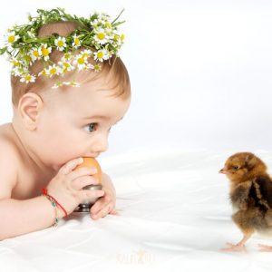 Wie Sie das Fleisch in dem Verlockungen Baby betreten?