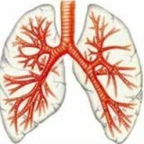 Prachová bronchitída: príznaky, liečba