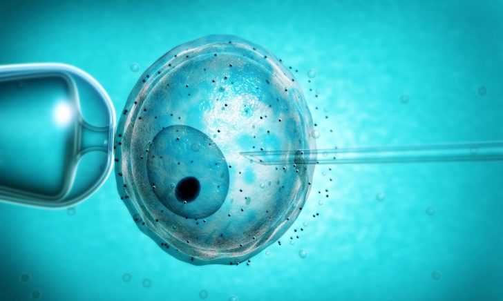 Tipos de anomalías y el tratamiento de la infertilidad masculina de esperma: técnicas nuevas y clásicas