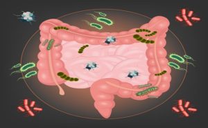 Pathogene Mikroflora im Darm