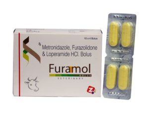 Furazolidon bei Durchfall: So nehmen Sie es bei Kindern und Erwachsenen richtig ein
