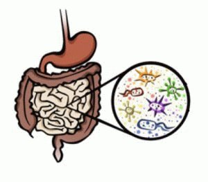 Enterofuril avec dysbiose: comment le prendre, cela va-t-il aider ?