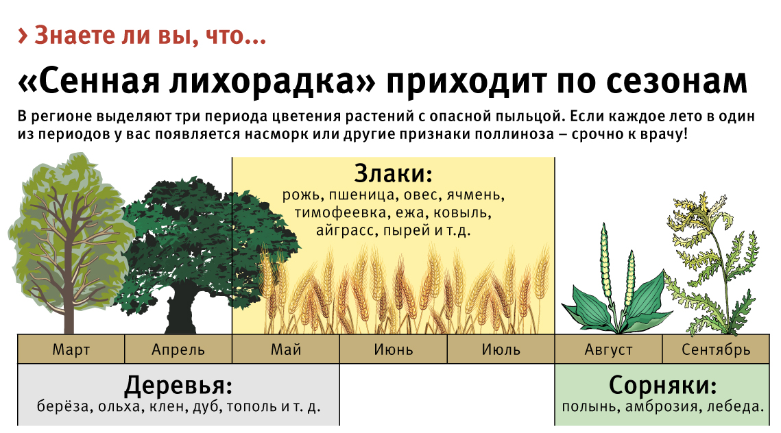 Hay fever: what is it, symptoms and treatment, photo
