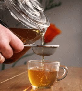 Biljni odvar