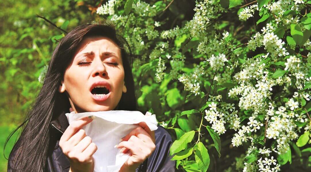Pollen allergy: types, signs, symptoms, photos and treatment