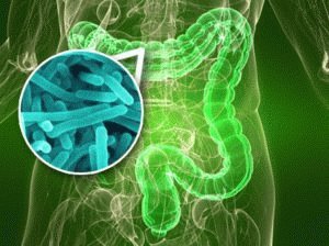 Microflore intestinale