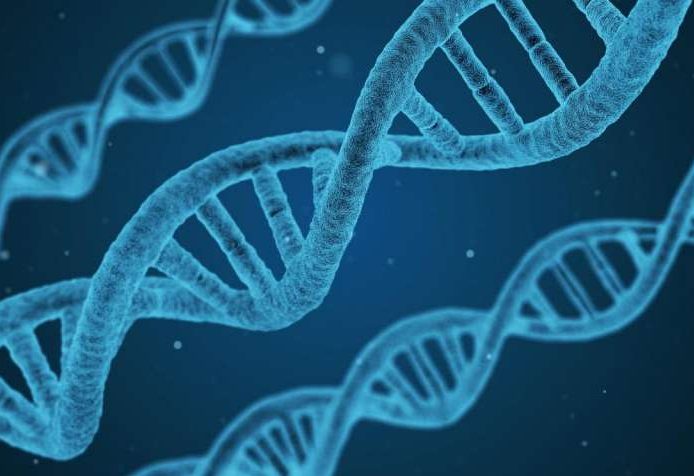 Robinov-Syndrom: Was ist das, Ursachen, Anzeichen, Behandlung, Prognose?