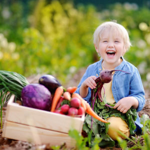 Rote Bete gegen Verstopfung: Einnahme, Rezept