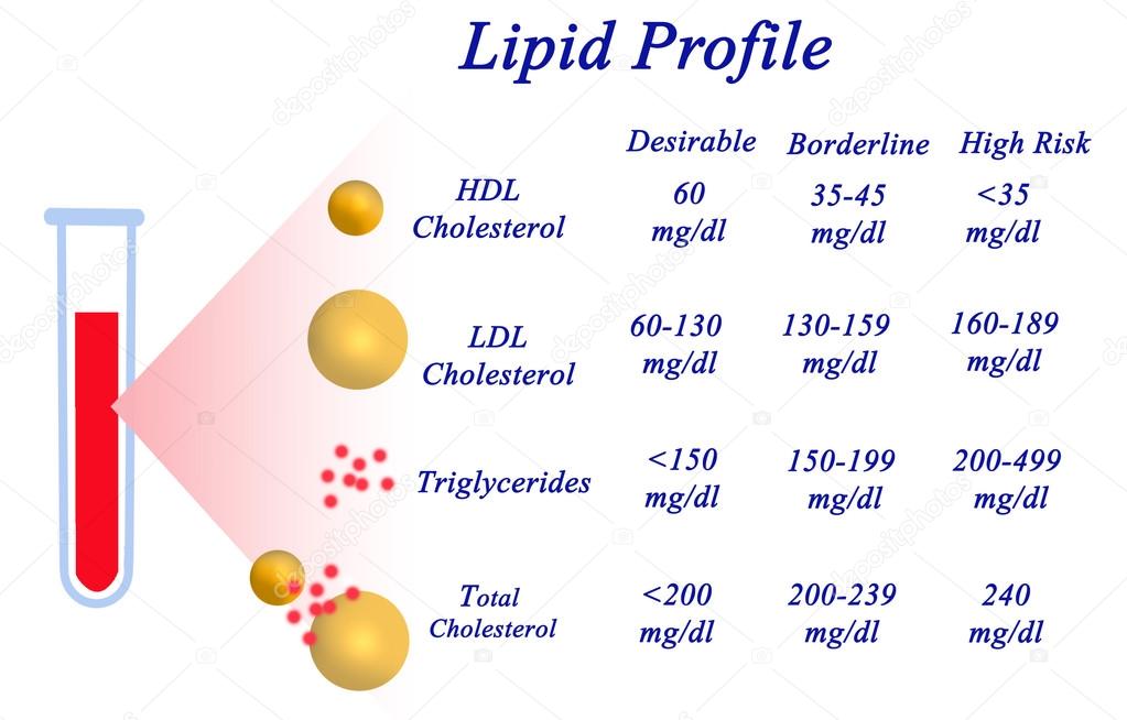 Increased blood cholesterol: what does it mean, how to treat, diet, folk remedies