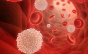 Esame del sangue per appendicite: trascrizione, indicatori negli adulti e nei bambini
